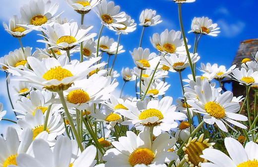 Cemre ne zaman düşecek ikinci ve üçüncü cemre tarihi 2018