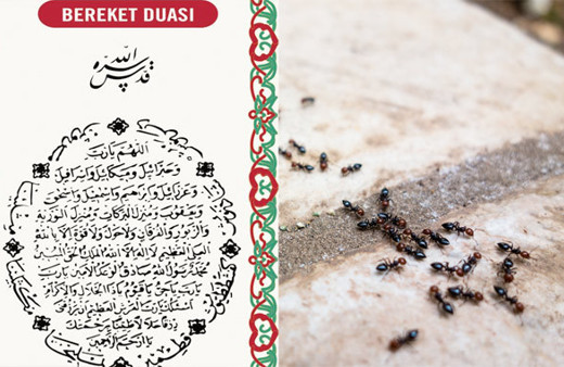 Karınca duası nasıl Hz. Süleyman'ın tanık olduğu dua