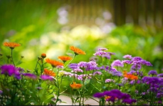 Cemre ne zaman düşecek ikinci cemre üçüncü cemre 2018 tarihleri 