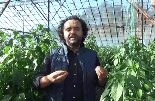 İroni yapan öğretmen görevden uzaklaştırıldı