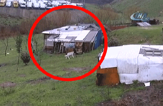 Dehşet çiftliği böyle görüntülendi!