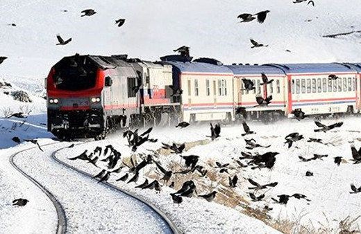 Fenomen trende garip olay! Bir vagona gözaltı