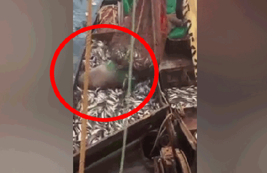 Balıkçılar bunu hiç beklemiyordu dehşete düştüler