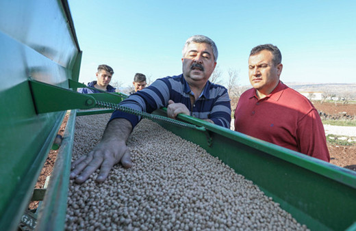 Çiftçiye ve tarıma büyük destek ilk tohum toprakla buluştu