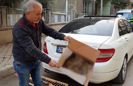 Lüks otomobilden çıktı! Korkunç manzara