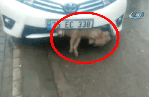 Otomobil çarptı tamponun arasından böyle çıkarıldı