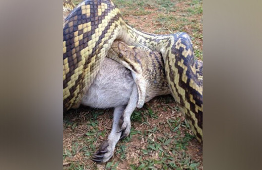 Bu ülkeye gidecekler dikkat yolda yürürken bile...