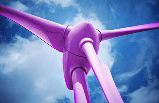 Ölümleri mor renk durdurdu!