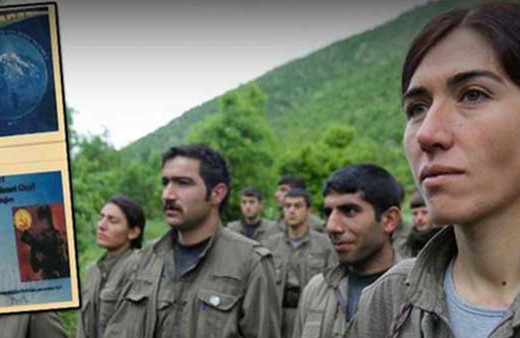 Canlı yakalanan teröristten dehşete düşüren ifadeler!