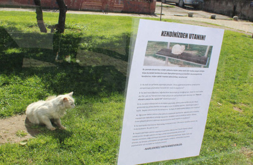 Sosyal medya bu yazıyı konuşuyor: Vicdan yoksunu kişiler
