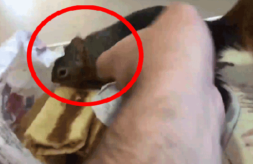 Bunu hiç beklemiyordu! Tam kıymalı pide yiyecekken....