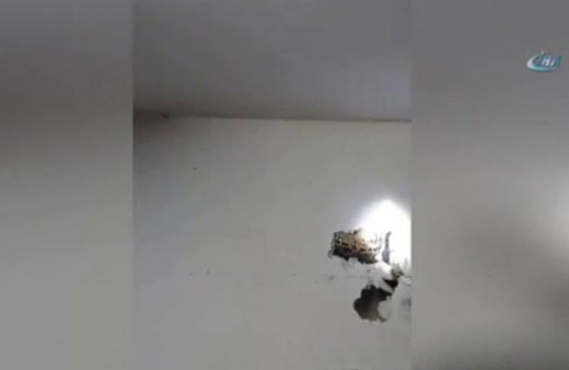 Duvardaki koca pitonu fark edebildiniz mi onlar fark edemedi