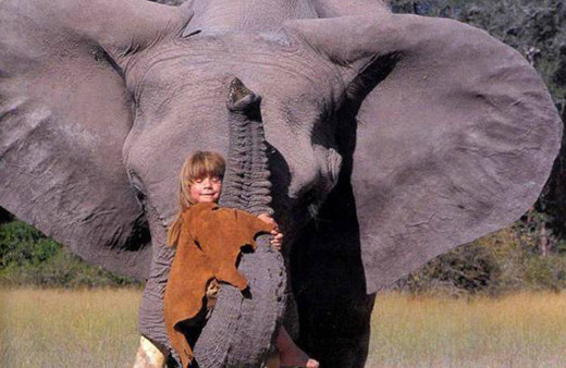 Bu fotoğraflar binlerce kelimeye bedel