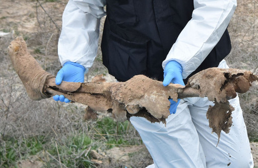 Amcası 'ya borcunu ver ya da eşini' deyince...