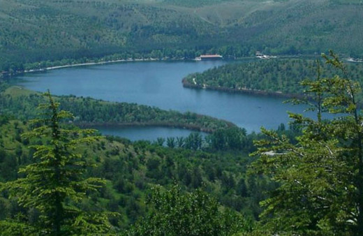 DHKP-C elebaşı ODTÜ Ormanı'nda yakalandı! 