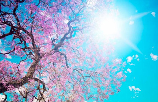 Nevruz kutlama mesajları resimli yeni tebrik kartları 2018