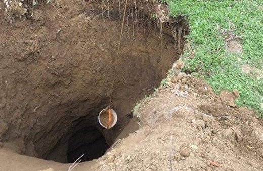 Çorum'da dehşet görüntü! Ne atılırsa yutuyor