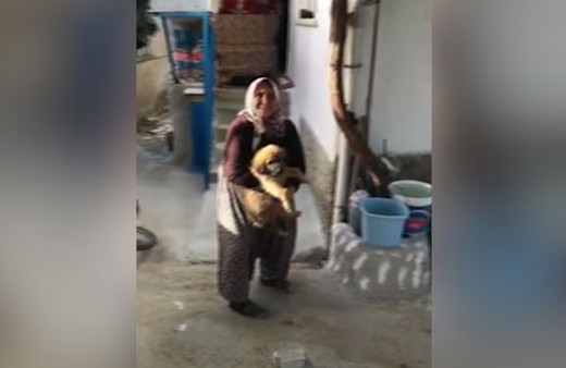 Sosyal medya bu videoyu konuşuyor! Böyle köpek sevgisi görülmedi
