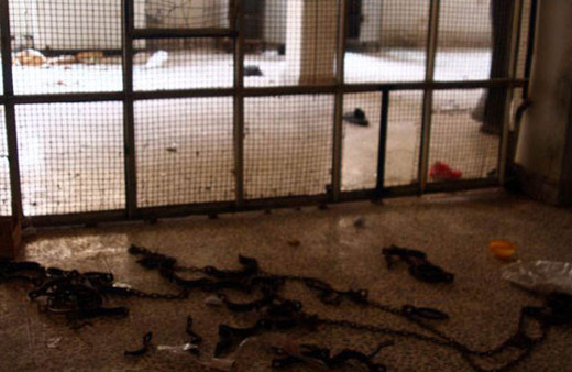 Afrin'deki PKK cezaevinde kan donduran işkence!