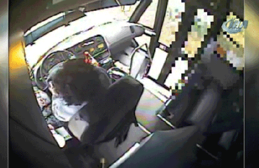 Facia böyle görüntülendi! Okul servisinin üzerine ağaç devrildi