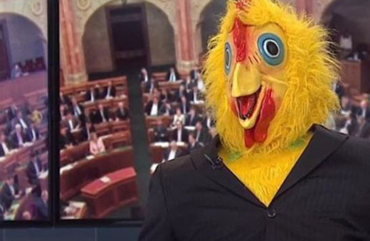 Parti sözcüsü televizyonuna tavuk kostümüyle çıktı!5 dakika gıdakladı