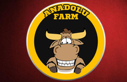 Anadolu Farm'ın kurucusu gözaltına alındı