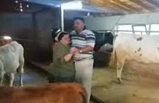 Ahırda eşini dansa davet eden romantik adam