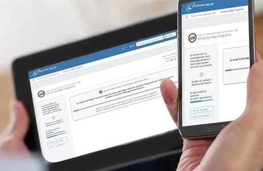 Soy ağacından 'çifte vatandaşlık'  çıkaranlar dikkat!