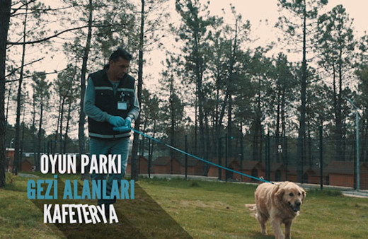 Tepeören sahipsiz hayvan bakımevi ve bahçeli yaşam alanı