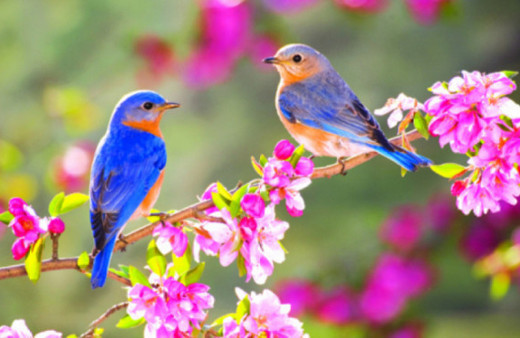 Cemre ne zaman düşecek üçüncü cemre düşme tarihi-2018 