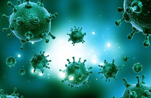 Bu  hastalık bin kişiyi öldürdü yayılmasından korkuluyor