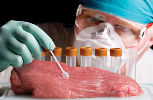 Yapay et bu yıl sofralarımıza gelecek!