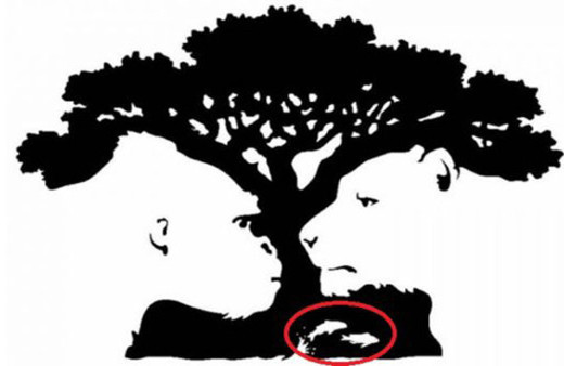 Fotoğrafa iyi bakın gördüğünüz şey kişiliğinizi yansıtıyor