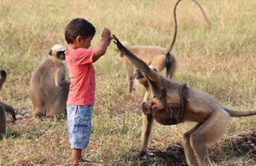2 yaşındaki çocuğu Tanrı ilan ettiler!