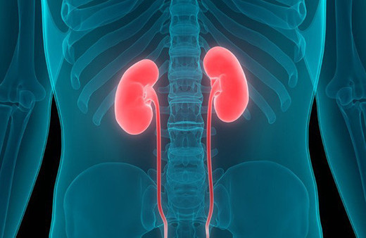 Böbrek kanseri nedir tedavisi nasıl yapılır? 
