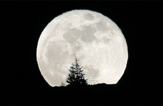 Çin Ay’da tarım yapıp ipekböceği yetiştirecek