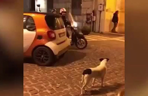 Motosikleti kovalamak isterken fena oyuna geldiler