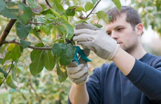 Genç çiftçi 2018 başvuru şartları neler yaş sınırı kaç?