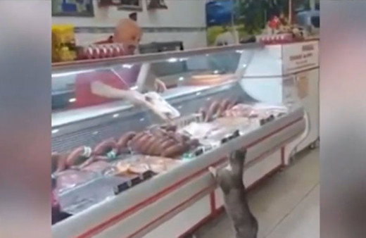 ‘Sakatatçı’ Yeşim ve kasap İkram ABD yolcusu