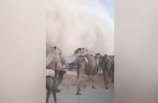 Dehşete düşüren kum fırtınası! Bir anda gündüz geceye döndü