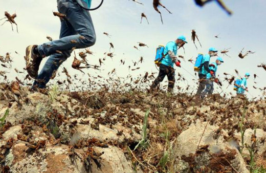 Şanlıurfa'da ekipleri şoke eden görüntü! Anında önlem alındı