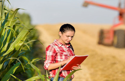 Genç çiftçi başvuru şartları-30 bin liralık hibe kimler alacak?