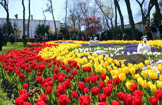 İBB'nin düzenlediği 13. İstanbul Lale Festivali başladı