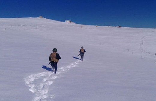 Trabzon kırsalında PKK'ya operasyon