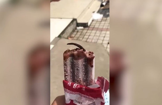 Dondurmanın içinden öyle bir şey çıktı ki mideniz kalkacak!