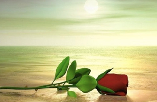 Mevlid-i Nebi ne demek, Kutlu Doğum Haftası yeni adı ne zaman?