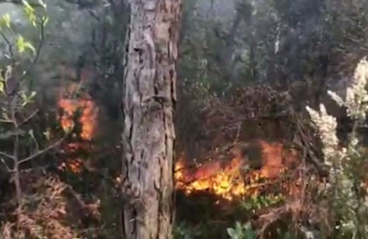 Aydos Ormanları'nda yangın çıktı