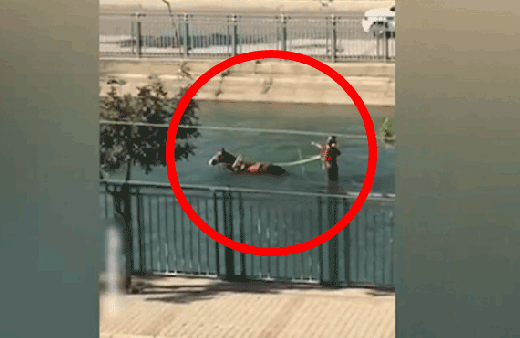 Kimse anlam veremedi! Herkes bu görüntüyü konuşuyor