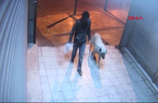Sokak köpeğini boğarak öldürdükten sonra tecavüz etti