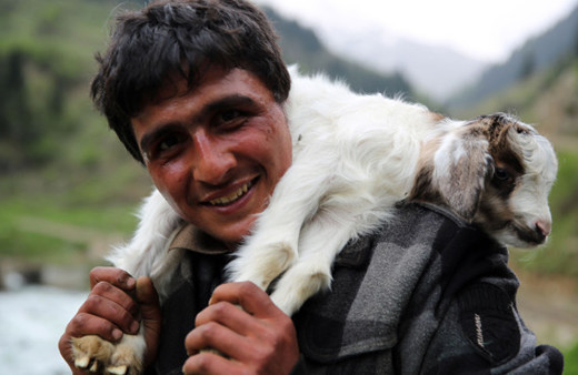 Rize'ye ithal çoban! Aylık kaç lira alıyor?